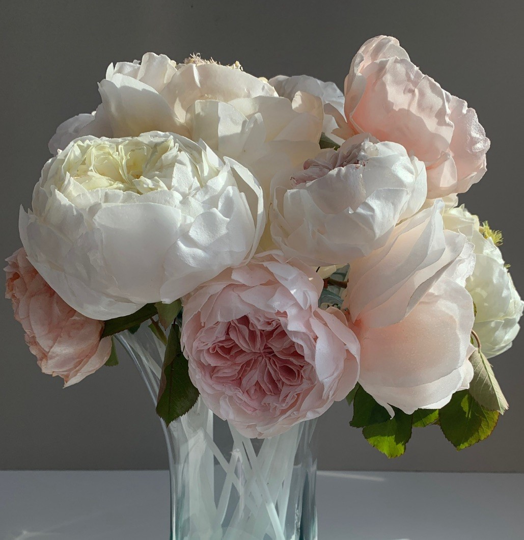 thumbnail_Screenshot 2025-11-24 (20.59.49)